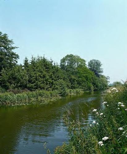 Marienthaler Gasthof Marienthal  Kültér fotó
